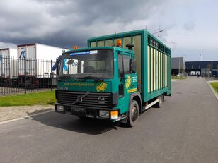 camião de transporte de gado Volvo FL6 11