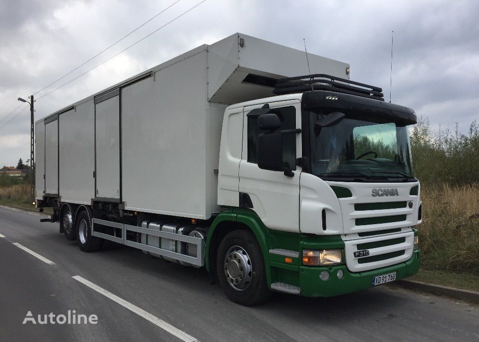 camião frigorífico Scania P 310 DO PRZEWOZU PISKLAT